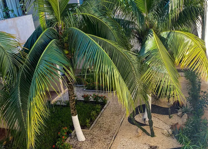 Moonshine & 3* Tulum Pueblo