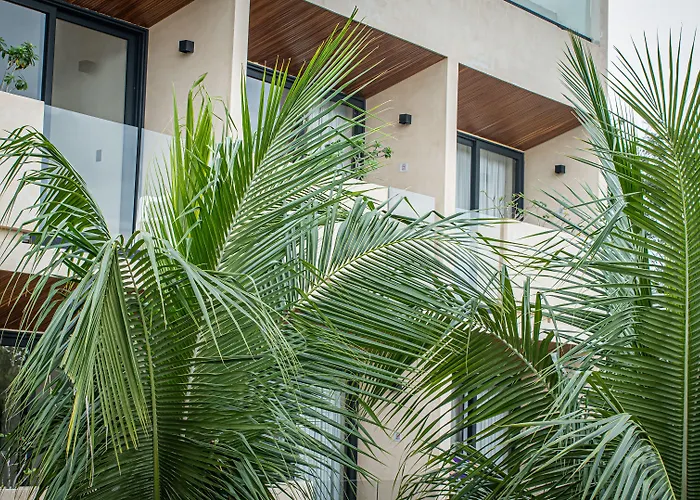 Hotel Moonshine & Tulum